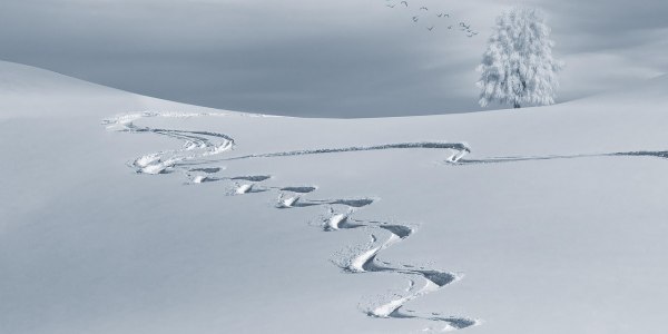 Les 7 meilleurs itinéraires de raid à ski de randonnée dans les Alpes